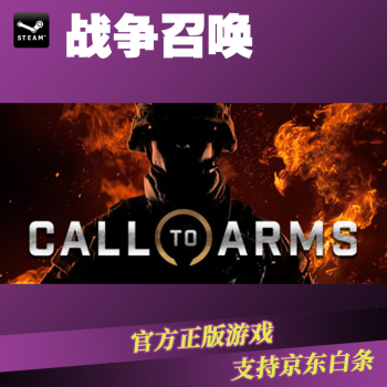 PCϷ Steam սٻ Call to Arms  