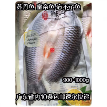 醃製開背冷凍蘇丹魚皇帝魚忘不了淡水魚9001000g