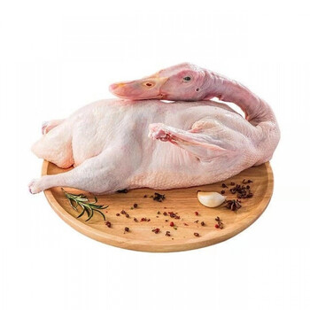 宏嘉睿鸭子新鲜鸭子活鸭子农家散养鸭白条鸭子冷冻整只鸭土鸭共四斤