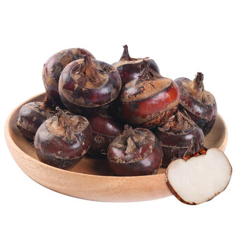 美香农场广西桂林马蹄新鲜蔬菜荸荠时令生鲜1斤