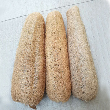 山区丝瓜络洗澡洗碗刷锅水瓜囊农家野生老干丝瓜瓤水瓜囊筋布皮单根整