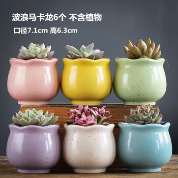 仟尚亿多肉花盆陶瓷批发个性简约室内大号肉肉植物创意粗陶紫砂小多肉花盆栽塑料花盆栽组合小bl组合6个中等 图片价格品牌报价 京东 仟尚亿多肉花盆陶瓷批发个性简约室内大号肉肉植物创意粗陶紫砂小多肉花盆栽塑料花盆栽组合小bl组合6个中等 图片价格品牌报价 京东