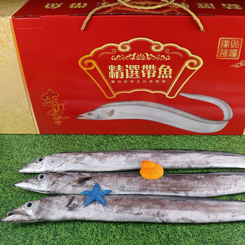 叁时鲜东山岛新鲜精品黑目带鱼礼盒6斤装海鲜水产年货礼盒10斤礼盒装