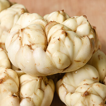 新鲜食用百合1斤装 湖北恩施图土特产 农家自种大百合 软糯微苦 500g