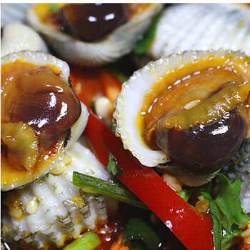 哺食旺潮汕生腌海鲜血蚌腌制血蛤特产酒料腌珠蚌毛蚌现做即食罐头