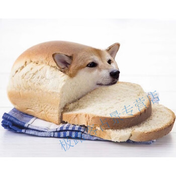 抱枕动漫chee和流泪猫猫头出品抱枕多功能动漫卡通萌宠简约抱枕午睡