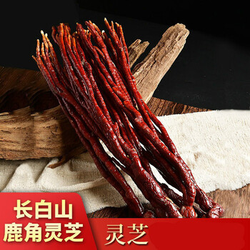 长白山灵芝仿野生灵芝草鹿角灵芝仿野灵芝粉鹿角灵芝灵芝草50克
