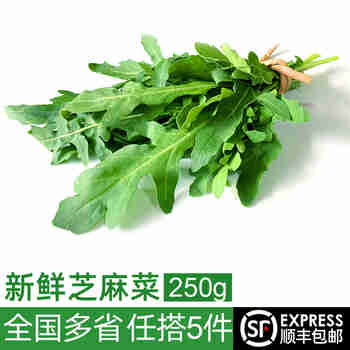 绿食者 新鲜芝麻菜250g 德国芥菜火箭菜 新鲜蔬菜西餐沙拉健康轻食食材