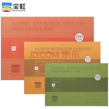 宝虹水彩纸水彩本画画本油画棒专用纸绘画本成年手绘本空白画册本彩铅随身旅行宝红全棉16k8k4k30 16开 中粗纹理180 260mm 图片价格品牌报价 京东