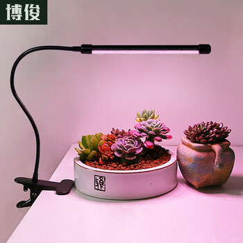 博俊rt 001 博俊多肉植物灯补光生长灯上色全光谱led家用蔬菜温室大棚室内室外花卉防徒植物仿太阳生长usb夹子式 升级款 单管