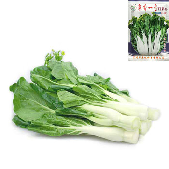 红菜苔种孑四九菜心种宁夏甜菜心种子50 翠香一号白菜心原装40克x5包