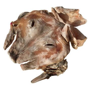 农家自制腌制咸猪头肉腊肉 6斤左右盐城步凤风干猪脸耳朵口条年货