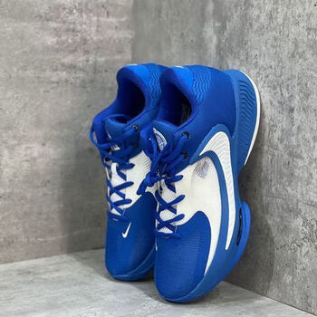 字母哥4代freak 4 男子篮球鞋 zoom气垫耐磨实战首发网面低帮战靴 蓝