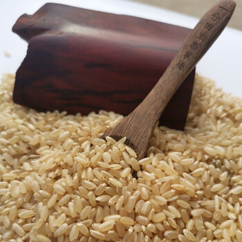 一分耕田 农家糙米500g/1kg 米饭伴侣粗粮杂粮 糙米500g