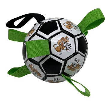 狗狗玩具耐咬解闷足球柯基犬小中大型犬互动神器宠物球卡通款狗狗球