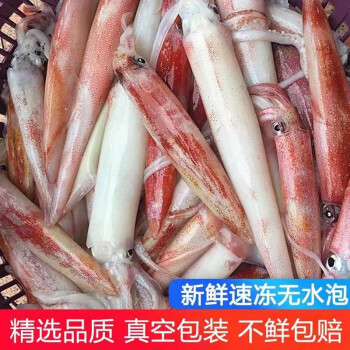 潮海堂深海捕捞笔管红鱿鱼活冻海兔1斤袋超大笔管鱿鱼45条净重500g