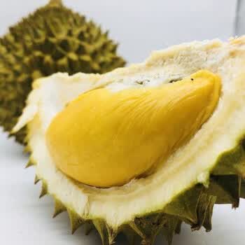 王金枕头嫁接当年结果地栽盆栽南方北方种植嘉宝果苗苏丹王3年苗明年