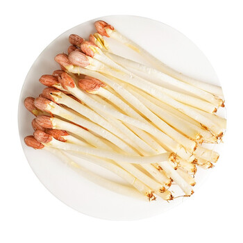 源外园花生芽新鲜花生苗芽菜长寿芽火锅蔬菜1斤