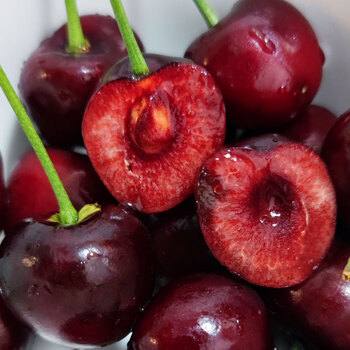 玫栀 甘肃天水大樱桃现摘新鲜水果车厘子孕妇水果 2500克 j 26mm(含)