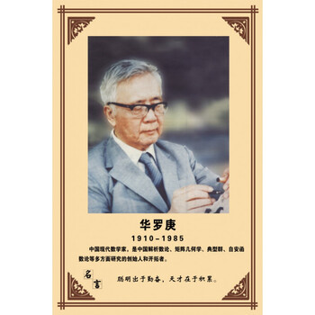 mrmy120华罗庚 80x120cm  复古咖啡色实木框28# 高精艺