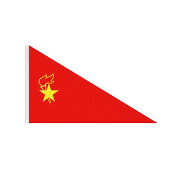 少先队队旗手持中国少年先锋队大队旗中小号小学生旗帜唐帆小队旗