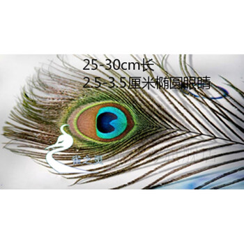 孔雀翎羽孔雀尾孔雀摆件diy饰品配件真孔雀毛孔雀羽毛花瓶装饰90 100cm印度孔雀翎毛25 30cm长2 3 5cm眼睛 图片价格品牌报价 京东