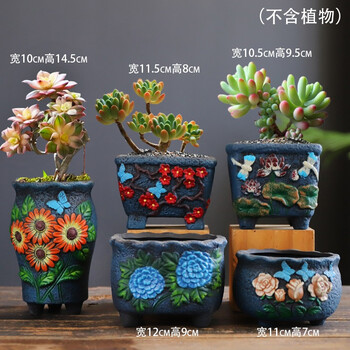 仟尚艺多肉花盆陶瓷大号特价粗陶透气多肉植物大口径小老桩花盆批发绚彩组合5个 图片价格品牌报价 京东 仟尚艺多肉花盆陶瓷大号特价粗陶透气多肉植物大口径小老桩花盆批发绚彩组合5个 图片价格品牌报价 京东