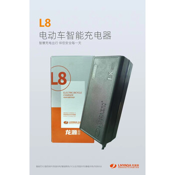 智充高端电动车充电器60v适用于各种电动车 龙源l8智充60v32ah通用t型