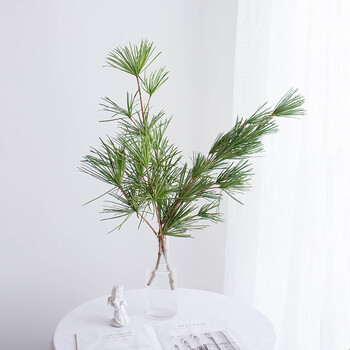 日本金松罗汉松放轻松鲜切花直发办公家庭叶材妇女节礼物 金松2支装55