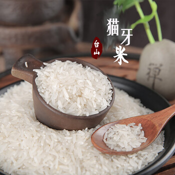 自产正宗猫牙米香米广东台山农家不抛光新米南方大米籼米5kg