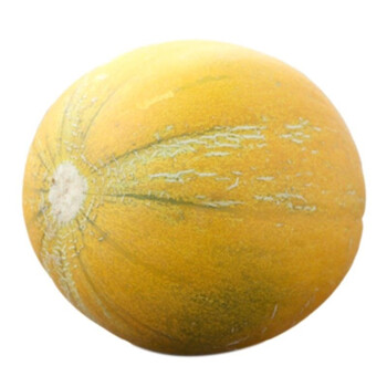 甜瓜内蒙古巴盟特产河套华莱士香瓜新鲜农家现摘应季水果 8-9斤