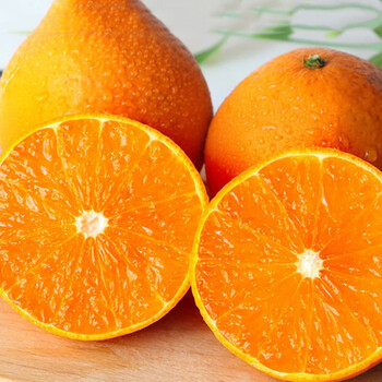 采缇 正宗爱媛果冻橙38号柑橘橙子大果 现摘新鲜孕妇水果5斤整箱10 5