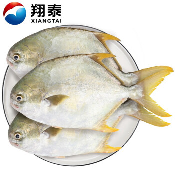 翔泰 冷冻海南金鲳鱼1.2kg /3-4条  海鱼  生鲜鱼类  海鲜水产