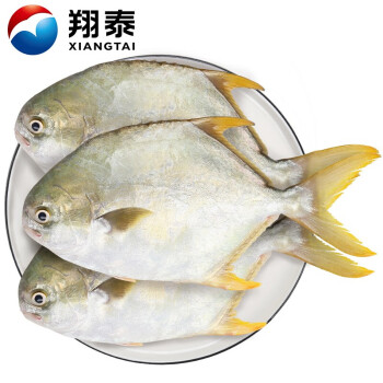 翔泰 冷凍海南金鯧魚1.2kg /3-4條  海魚  生鮮魚類  海鮮水產(chǎn)