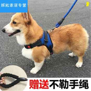 新品精選栓狗繩狗鏈子栓狗用狗狗套脖子牽引繩柴犬背心式項圈可愛泰迪