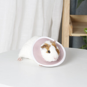 吉仔仔小宠伊丽莎白圈仓鼠蜜袋鼯防抓防咬防护罩荷兰猪护理圈粉色l脖