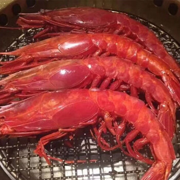 鹿凌青深海红魔虾捕捞国产刺身虾魔鬼虾生鲜鲜活冷冻虾类刺身红魔虾