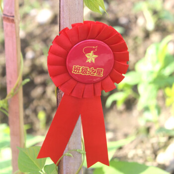 大红花表彰小红花胸花别针小学生幼儿园期末礼物大花朵学校教师奖励