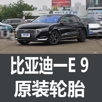 朝阳byd比亚迪e9轮胎原车原厂原装德国马牌米其林24550r18朝阳轮胎
