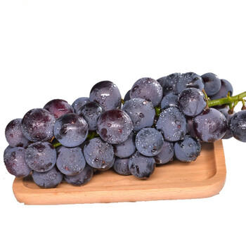东北巨峰葡萄辽宁葡萄黑提子孕妇新鲜水果2斤净重自然熟特级果