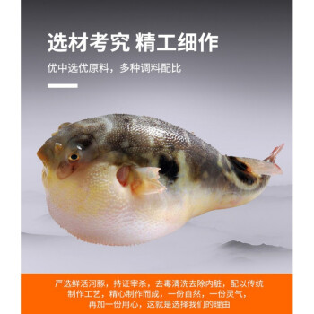 魃鮮生鮮魚肉食用河豚魚已處理淡水魚新鮮河豚其他魚類三斤裝