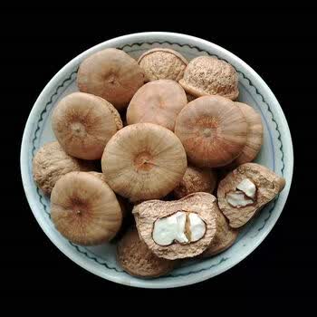 广西野生风流果新货锁阳果产地直发精选益肾子泡酒料