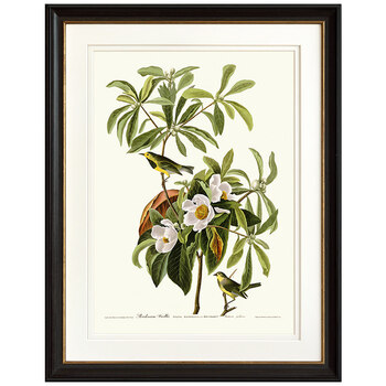 美式乡村田园复古花鸟装饰画客厅沙发背景墙壁画餐厅卧室床头挂画 a款