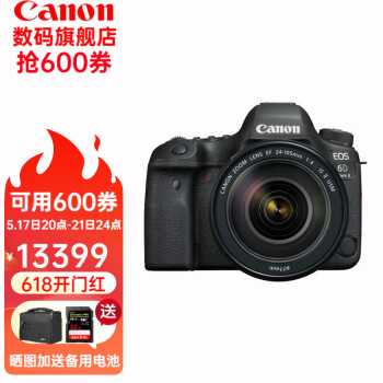 佳能（Canon） 6D2 全画幅单反相机 L级24-105标准镜头 EOS 6D Mark II 6d2+24-105F4 IS USM L级红圈头 套餐2：64G卡+相机包+备用电池等