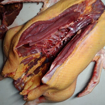 上海南汇半番鸭1-2年土鸭白条鸭红头鸭黄皮农家散养鸳鸯鸭 一只鸭子(7