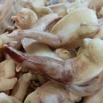 蜜钰鲜海肠皮新鲜鲜活现捕现剥沙虫水产海肠子烟台特产海肠1斤紫鸟贝1