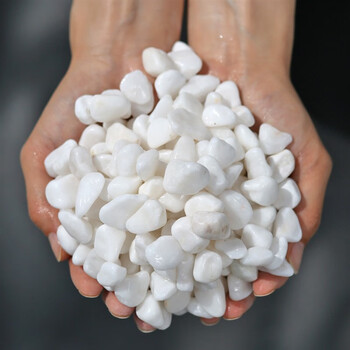 鼎度丙烯画画石英砂白沙寄居蟹乌龟沙白色细沙子儿童游乐场沙池玩耍沙