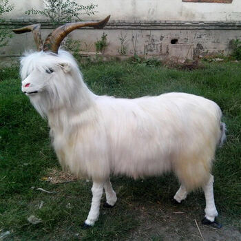 仿真动物山羊模型工艺品标本大奶山羊摆件奶粉店绵羊模型假羊道具单款