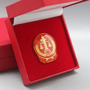 服灰色夏装春秋制服冬装胸针胸牌别针法 法院徽章(别针款)配红礼盒