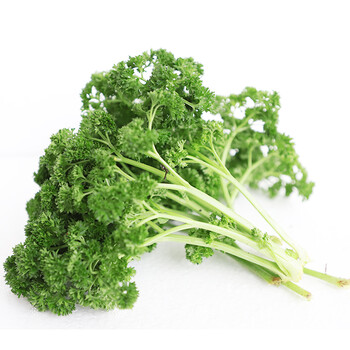荷兰芹皱叶欧芹叶新鲜蔬菜蕃茜洋芫荽西餐法香250g